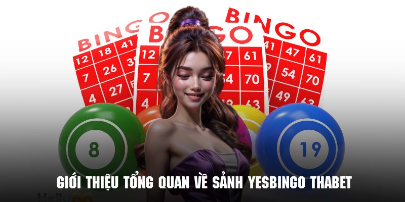 Tìm hiểu tổng quan về sảnh chơi YesBingo Thabet cuốn hút